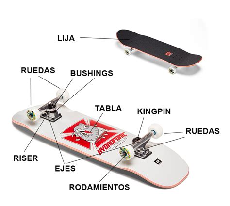 Infografía: Esquema de las partes principales de un skate infantil (tabla, ejes, ruedas y rodamientos) indicando los puntos de ajuste seguro.