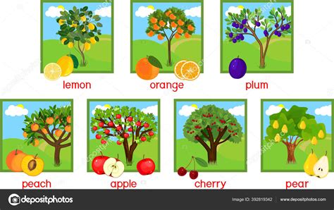 Variedad de fertilizantes comerciales para árboles frutales, mostrando diferentes formatos y marcas.