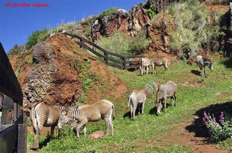 Animales en semilibertad en el Parque de la Naturaleza de Cabárceno