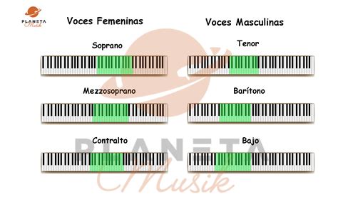 Diagrama comparativo de rangos vocales masculinos y femeninos, mostrando las áreas de solapamiento y diferencias típicas.