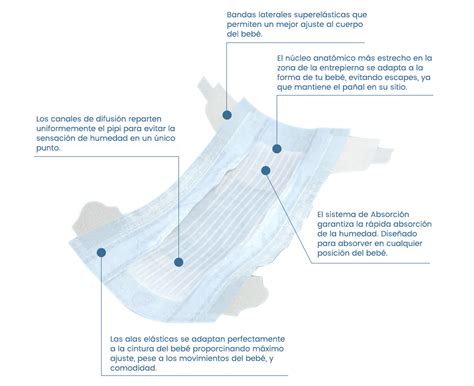 Esquema detallado del sistema de absorción de un pañal Chelino Fashion & Love