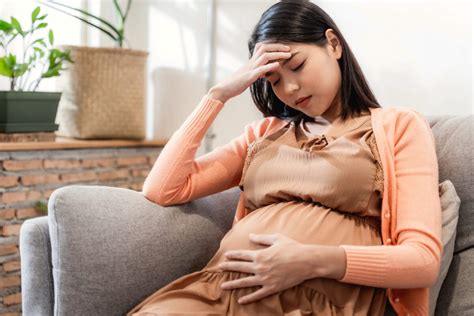 Infografía: Impacto del estrés materno en el desarrollo fetal y riesgo cardíaco