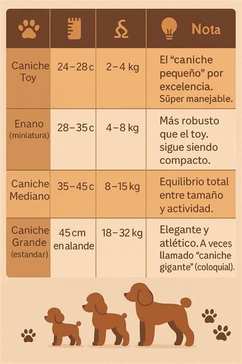 Infografía comparativa de tamaños de fofuchas: desde miniaturas para tartas hasta figuras personalizadas de gran volumen