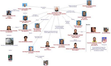 Infografía de la estructura de la red criminal de Nino come Mezcla