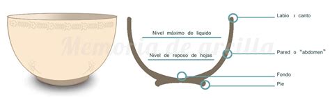 Diagrama de las partes de una taza Tommee Tippee y su ensamblaje