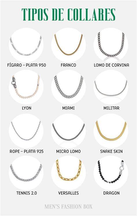 Ejemplos de diferentes tipos de collares para cachorros