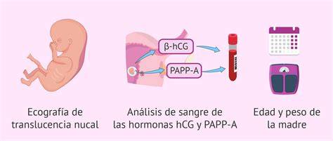 Infografía sobre las pruebas de cribado prenatal y cómo se identifican los niveles de AFP para el diagnóstico precoz.