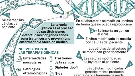 Esquema explicativo sobre la investigación en enfermedades raras y terapia génica