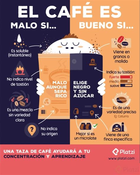 Infografía sencilla que ilustra ejemplos de lógica con objetos cotidianos como una moneda, un libro y una botella.
