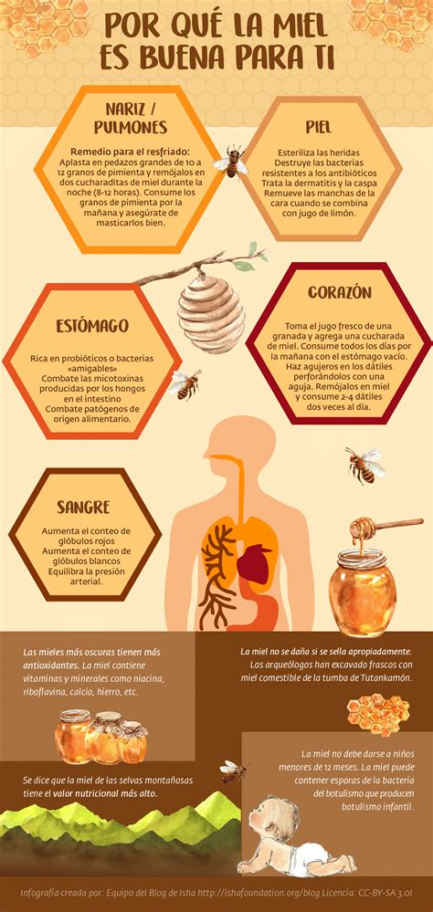 Infografía comparativa con las propiedades nutricionales de la miel y el limón para madres lactantes