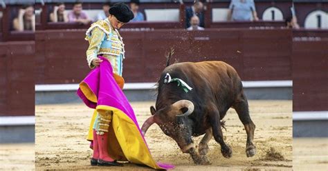 Foto de Emilio de Justo con sus hijos en el campo o en el ruedo