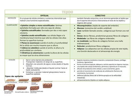Esquema comparativo de tejidos ideales para la piel delicada del bebé en disfraces temáticos.