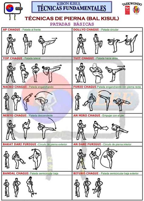 Esquema de las diferentes técnicas de patadas en Taekwondo