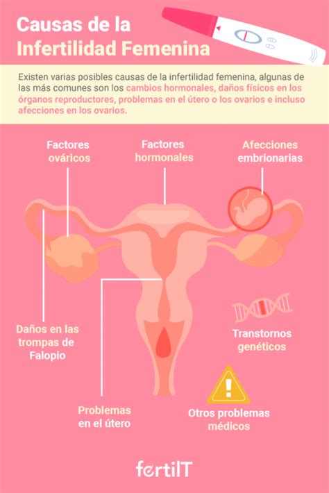 Infografía explicando las causas comunes de la esterilidad femenina.
