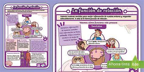 Esquema infográfico que muestra la interacción entre la función materna (sostén/nutrición) y la función paterna (límite/ley) en torno al niño