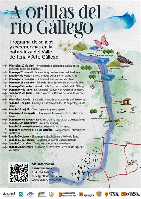 Esquema del curso del río Gállego, destacando su origen en los Pirineos y su desembocadura en el Ebro