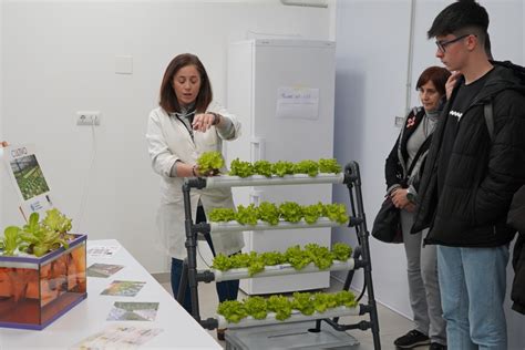 Fotografía de la Festa de la Sembra con familias participando en talleres de agricultura y cerámica.