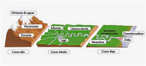 Infografía sobre las tres partes del río: curso alto (nacimiento), curso medio y curso bajo (desembocadura).