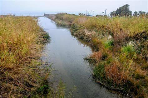 Fotografía aérea del delta del río Guadalfeo y la costa de Granada