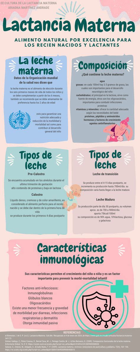 esquema infográfico tipos de lactancia