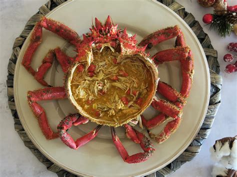 Imagen de una centolla gallega sobre un lecho rocoso