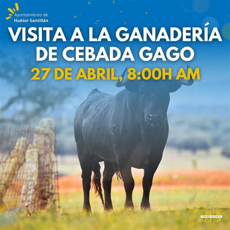 Infografía sobre la trayectoria histórica de la ganadería Cebada Gago y sus hitos en plazas como Pamplona