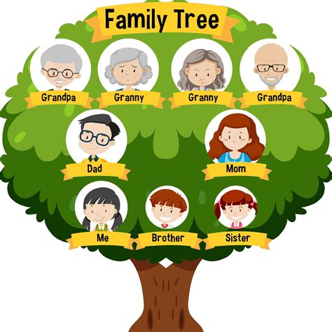 Esquema de un árbol genealógico mostrando la relación de la abuela paterna