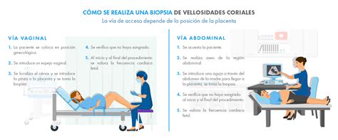 Diagrama que ilustra las dos vías de acceso para la biopsia corial: transcervical y transabdominal.