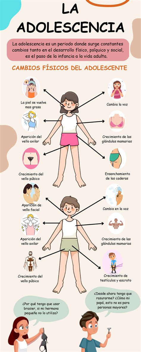 Esquema explicativo de los cambios físicos durante la pubertad, destacando el desarrollo de caracteres sexuales secundarios.