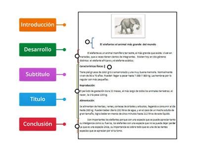 Esquema de las partes fundamentales de un artículo informativo: Título, Introducción, Desarrollo y Cierre