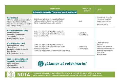 infografía explicando los pasos del tratamiento de mastitis y la recuperación de Isabel Moreno