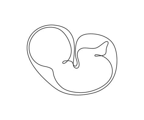 Ilustración artística que represente la silueta de un feto en desarrollo dentro del vientre materno, con un estilo suave y tonos cálidos que sugieran paz y crecimiento.