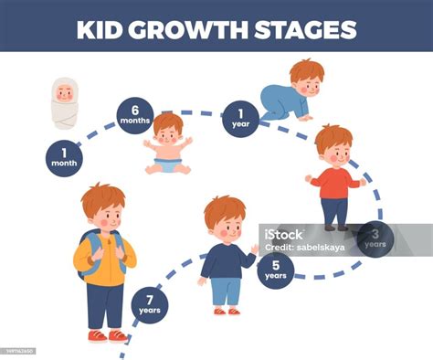 Infografía sobre las etapas de crecimiento infantil y la importancia del monitoreo de peso regular.