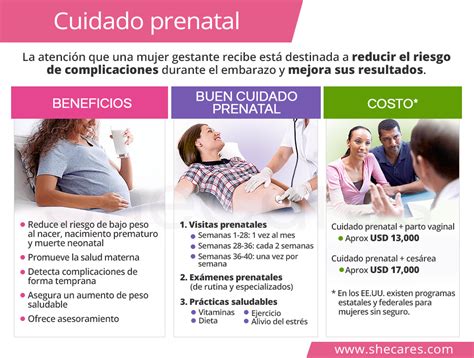 Esquema detallado que muestra la conexión entre el cuidado prenatal, el parto y los cuidados intensivos neonatales (UCIN).