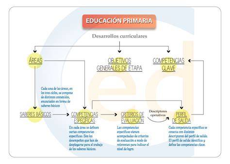 Esquema de la estructura de la educación primaria y sus ciclos
