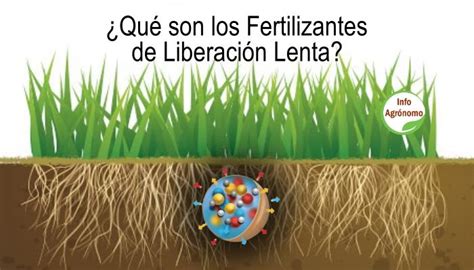 Esquema comparativo que muestra la diferencia entre fertilizantes de liberación rápida y lenta, ilustrando la absorción de nutrientes en el suelo.