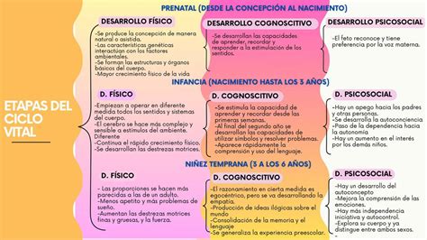 Esquema que muestra el ciclo vital de atención de la matrona: desde la adolescencia hasta la menopausia, incluyendo embarazo, parto y puerperio.