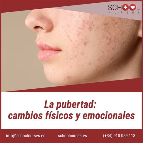 Infografía detallando los cambios físicos y emocionales comunes durante el posparto.