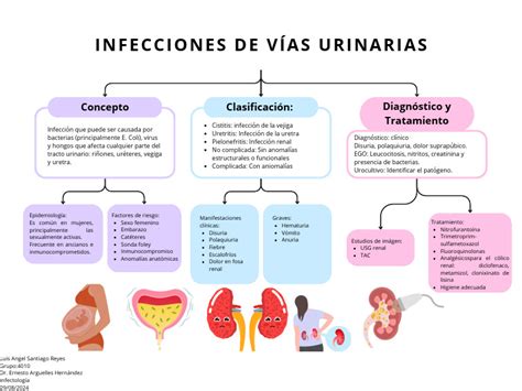 Esquema de las vías de infección ascendente desde el tracto genital inferior