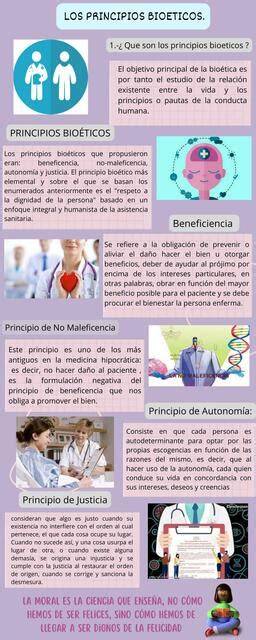 infografía sobre los principios de la equitación etológica