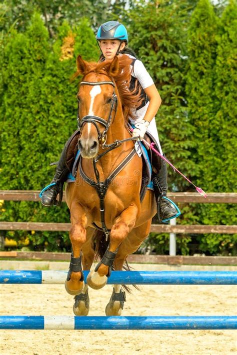 foto de un jinete interactuando con un caballo joven en libertad