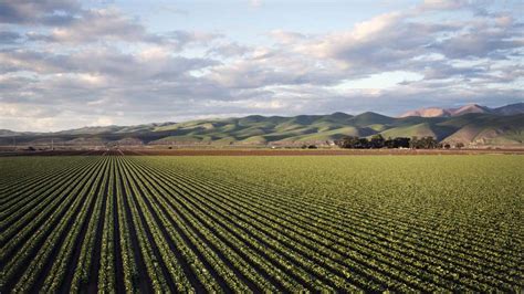 Campo de cultivo extensivo en España con sistemas de riego