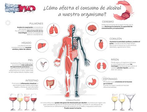 Infografía: Efectos del alcohol en el sistema de lactancia
