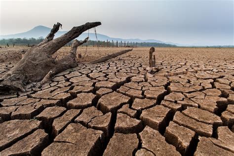 Foto: Suelo agrietado y seco por erosión y falta de vegetación