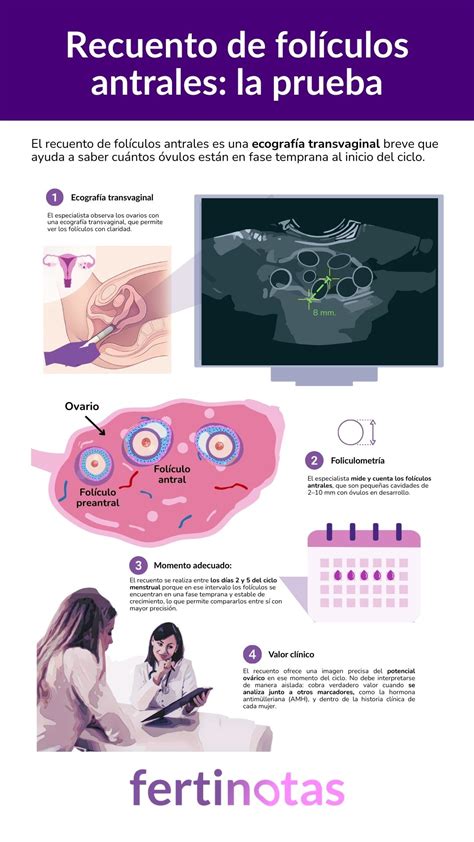 Gráfico comparativo de la reserva ovárica (recuento de folículos antrales) por grupos de edad.