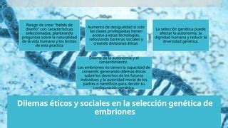 Infografía sobre los dilemas éticos de la selección genética de embriones