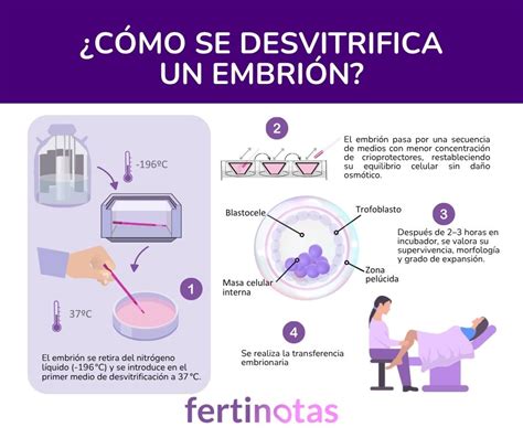 Infografía mostrando la cantidad estimada de embriones congelados en el mundo