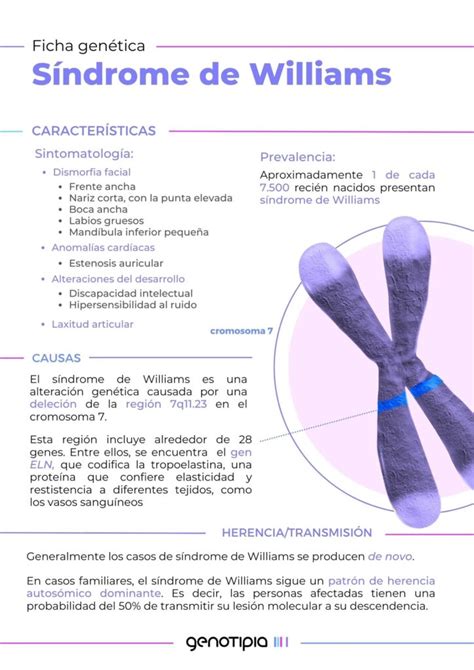 Esquema o infografía del síndrome de Williams mostrando las características clave