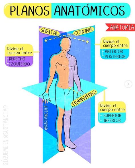 Esquema anatómico mostrando los tres planos del espacio (x, y, z) para la colocación de un implante dental respecto a las estructuras óseas y dientes adyacentes.