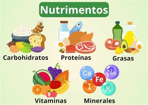 Esquema de los 5 nutrientes esenciales presentes en bebidas vegetales enriquecidas